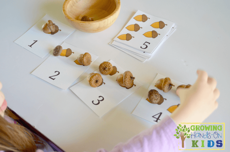 Acorn brushing and counting activity for preschoolers