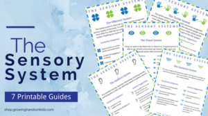 The Sensory System Printable Guides