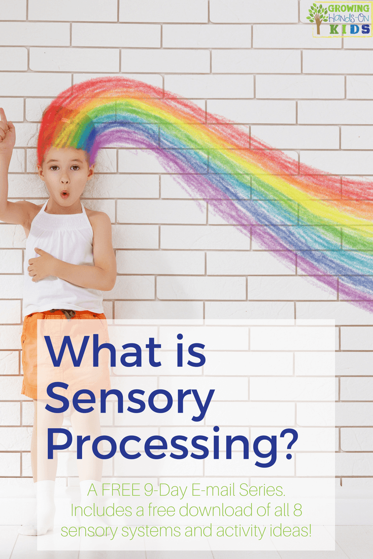 Sensory processing e-mail series