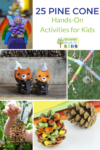 25 Pine cone hands-on activities for kids.