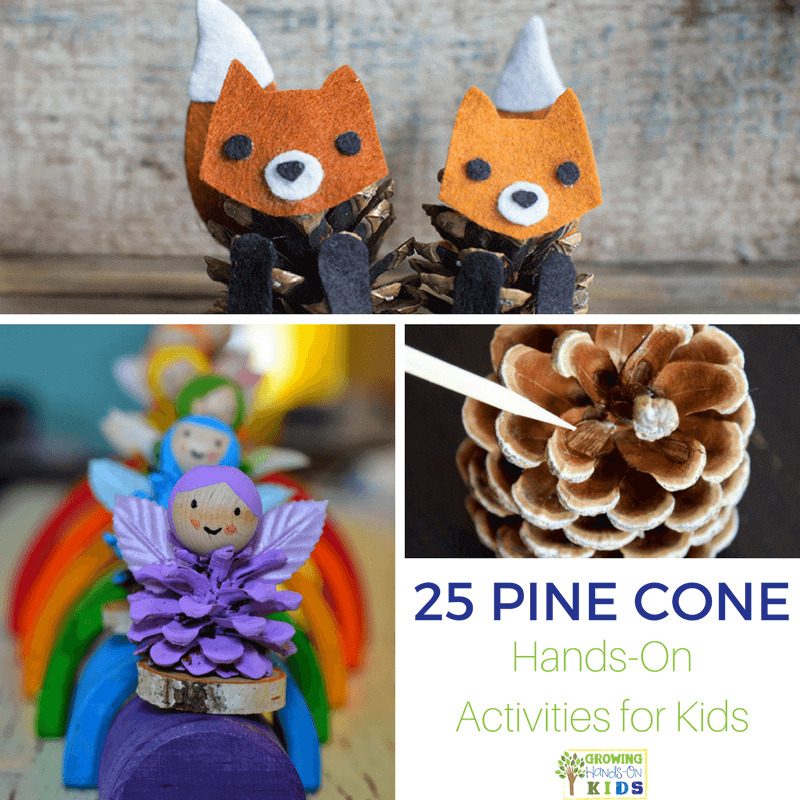 25 Pine cone hands-on activities for kids.