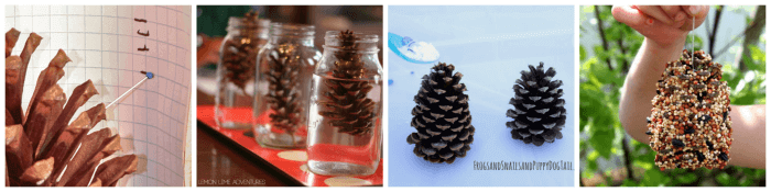 Pine Cone science experiments for preschoolers.