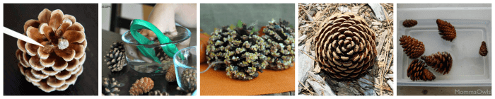 Pine cone science activities for preschoolers.