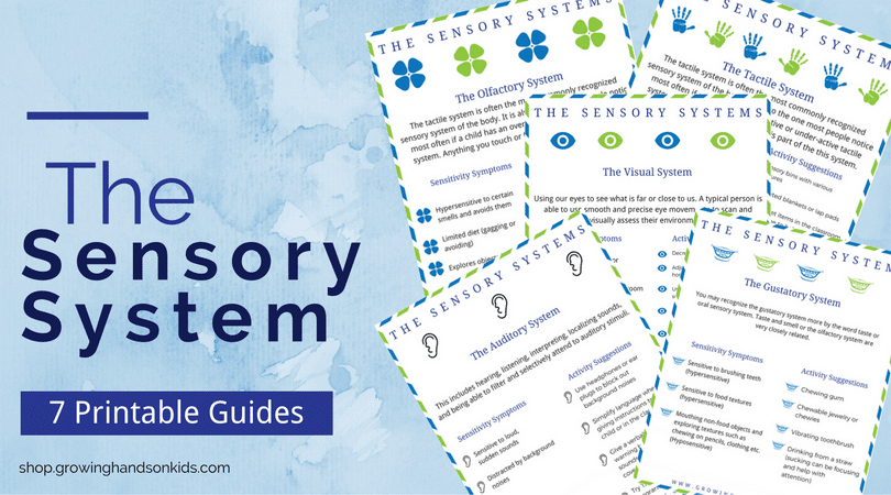 The Sensory System printable guides.