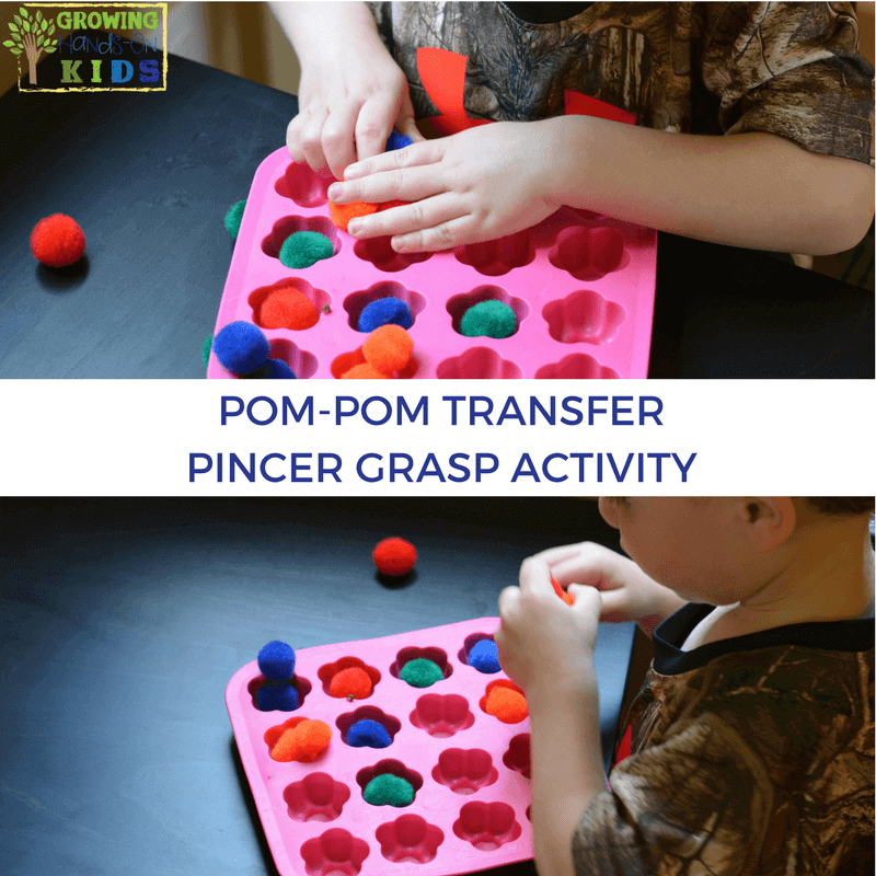 Pom-pom transfer activity for pincer grasp.