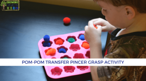 Pom-pom transfer activity for pincer grasp.