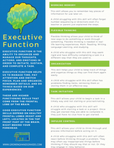 Free printable on executive functioning skills.