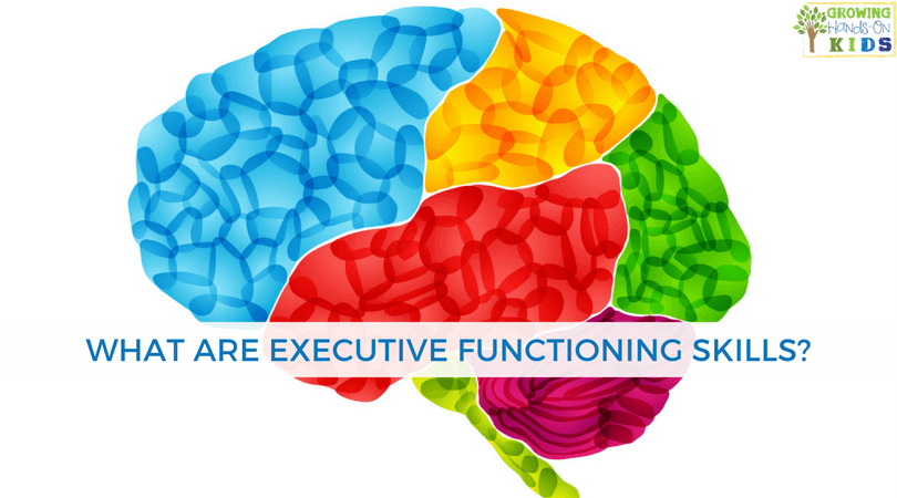 What are the executive functioning skills? Plus get a free printable on Executive Function.