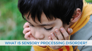 What is sensory processing disorder?