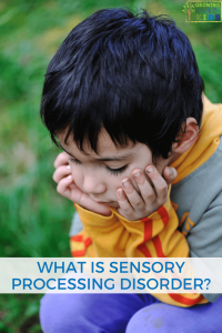 What is sensory processing disorder?