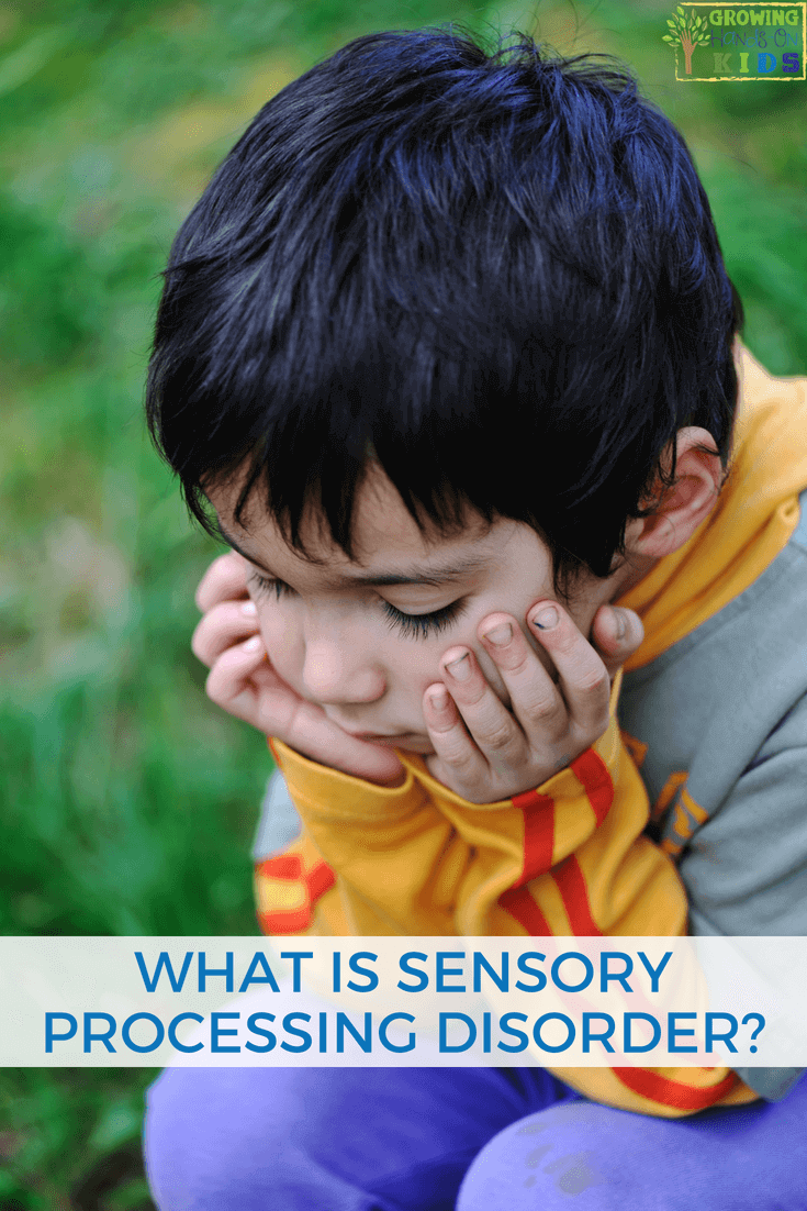 What Is Sensory Processing Disorder For Parents Educators And Therapists