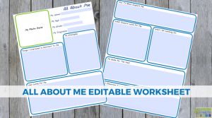 All About Me Editable Worksheet for special needs families.