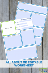 All About Me Editable Worksheet for special needs families.