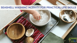 Seashell Washing Activity for Practical Life Skills. Montessori inspired activities at home.