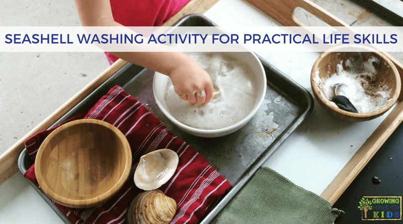 Seashell Washing Activity for Practical Life Skills