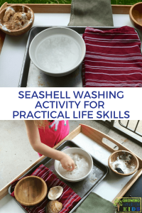 Seashell Washing Activity for Practical Life Skills. Montessori inspired activities at home.