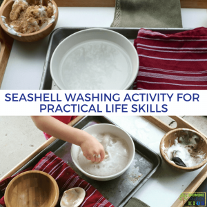 Seashell Washing Activity for Practical Life Skills. Montessori inspired activities at home.