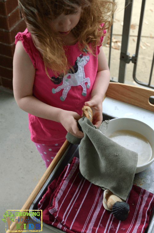 Seashell Washing Activity for Practical Life Skills. Montessori inspired activities at home.