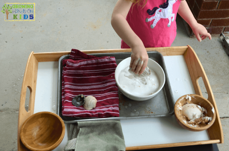 Seashell Washing Activity for Practical Life Skills. Montessori inspired activities at home.