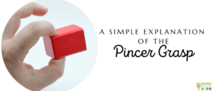 Picture of a hand grasping a red block with a neat pincer grasp. The green text box above with white text says "A Simple Explanation of the Pincer Grasp."