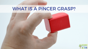 What is a pincer grasp?