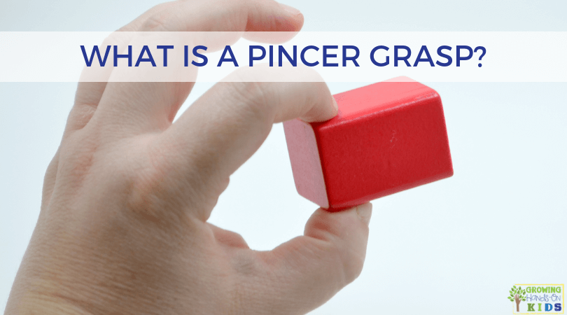 Ass Synes sikring What is a pincer grasp? Development Plus Activity Tips and Tools