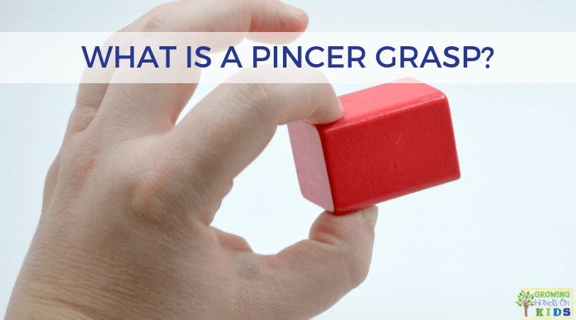 Neat pincer grasp