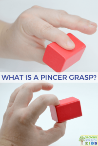 What is a pincer grasp?