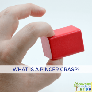 What is a pincer grasp?