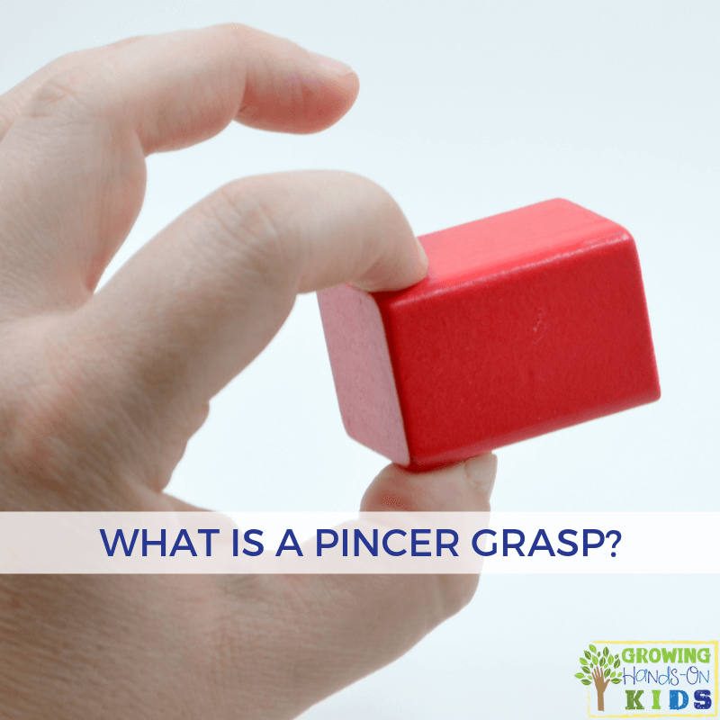 What is a pincer grasp?