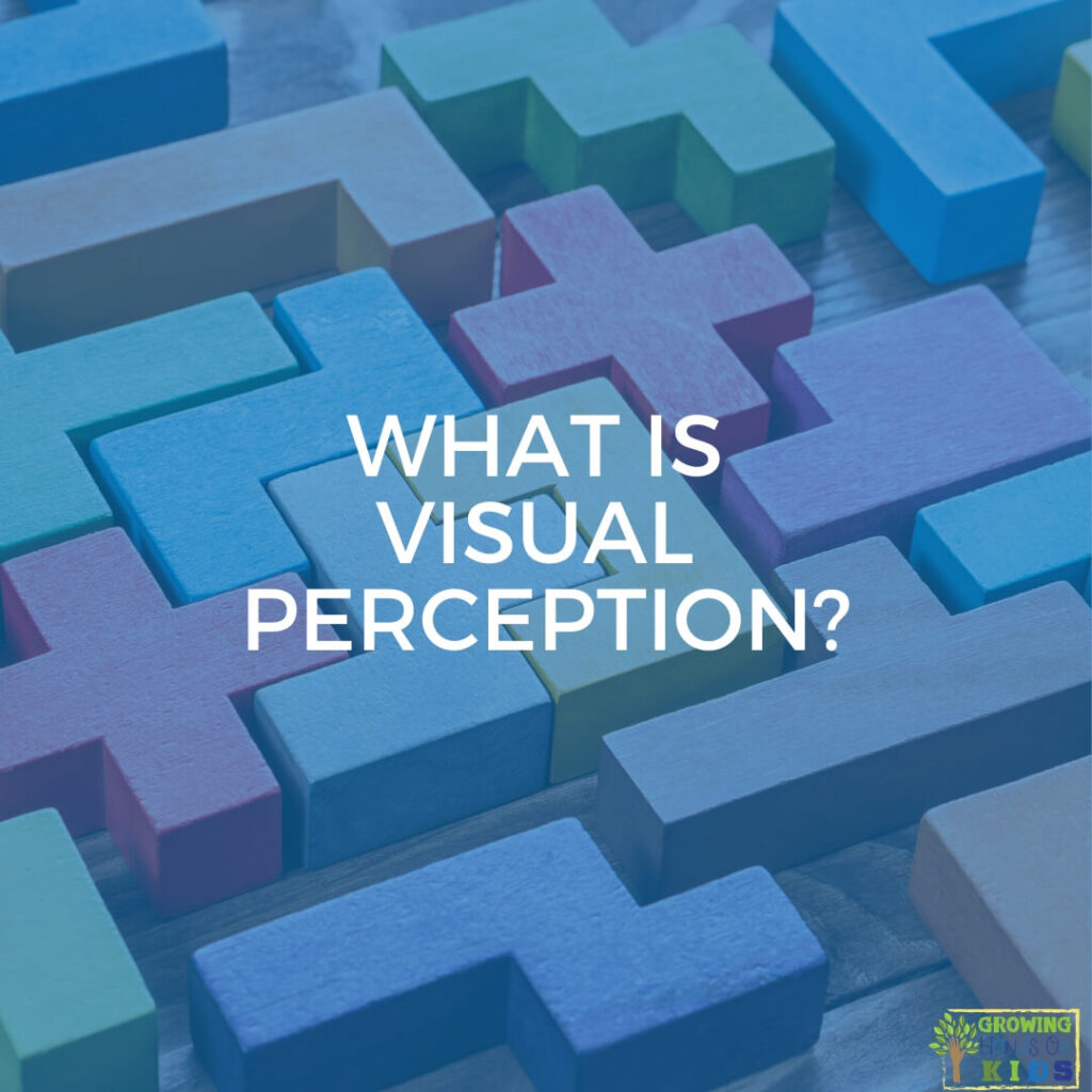 random puzzle pieces fitted together. Blue overlay with white text that says "What is visual perception?"
