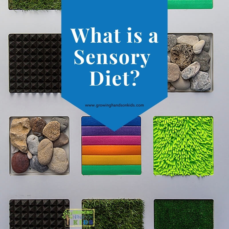 What is a Sensory Diet?