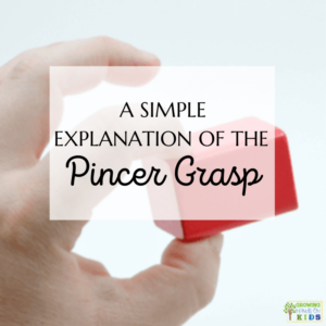 Picture of a hand grasping a red block with a neat pincer grasp. The green text box above with white text says "A Simple Explanation of the Pincer Grasp."