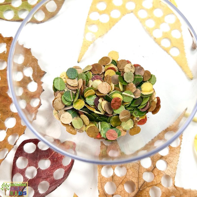 DIY Autumn Leaf Confetti: Fall Activity for Kids