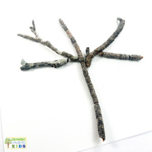 Real twigs arranged on white paper to resemble the branches of a tree, ready for a fall fingerprint tree craft.