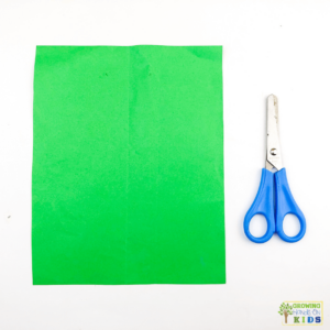 A piece of green construction paper and a pair of blue scissors.