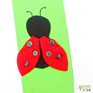 Completed ladybug button fine motor activity with red felt wings fastened over buttons on a black felt body attached to green cardboard.